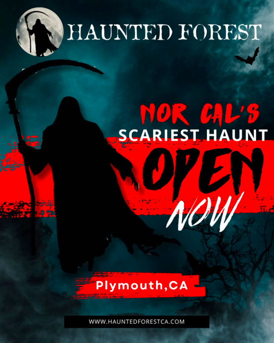 Behind the Branches: Why the Forest Is Different