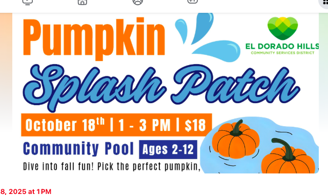 Five Reasons Pumpkin Splash Patch Beats a Regular Patch (Sorry, Hay)